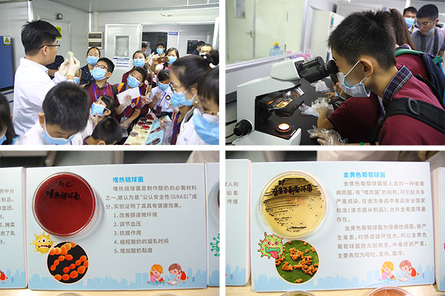 探秘实验室 |《小学生学习报》小记者团走进开云